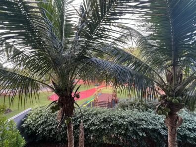 Sobrado fundo de mata a venda Alphaville Goiânia - Foto 16